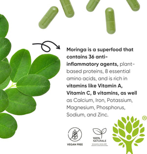 Organic Moringa Oleifera Capsules – 100% Natural Superfood | High Fibre Supplements | Supports Digestion, Metabolism & Immune System | 90 Moringa Capsules Made in Italy - Redmoringa