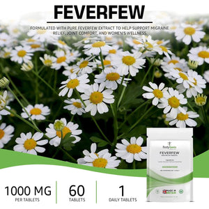Bodygenix Feverfew 1000Mg Tablets - Headaches Relief Joints Health anti Inflammatory Natural Supplement - 60 Tablets 2 Month Supply