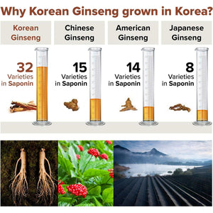 BTGIN Korean Red Ginseng Extract 3000Mg Everyday, Immune Booster and Focus Supplement for Brain Enhancement with Ginsenoside Rg3, Panax Ginseng 6 Years Root, Saponin Hanppuri 30Packets in 1 Set