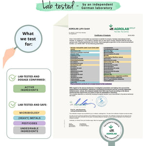 Vegavero Organic Horsetail Extract 1000 Mg | Natural Source of Silica | NO Additives | Hair, Skin & Nail Supplement | Equisetum Arvense Extract | 90 Capsules | Vegan