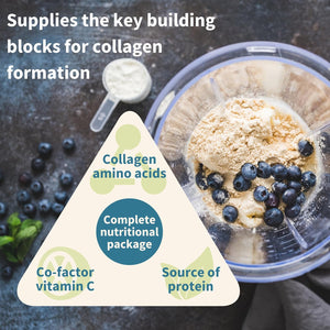 Vegan Pro-Collagen Protein Powder, Plant-Based Peptide Supplement with Glycine, 21 Amino Acids & Vitamin C, Complete Collagen Boosting Formula, Mix into Drinks or Food, 35 Servings, by Igennus