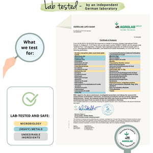 Vegavero 5HTP High Strength | 750 Mg Griffonia Seed, Rhodiola & Ashwagandha Extracts | Premium Branded Raw Materials | Synergistic & Natural Adaptogens | NO Additives, Lab-Tested | Vegan