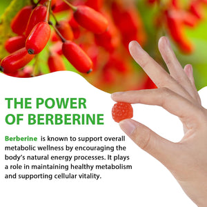 Berberine Gummies,Berberine Supplement,Berberine Complex Gummies for Metabolism, Energy, Gut Health, Fasting & Body Mass Control