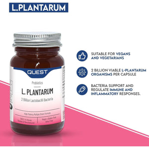 Quest L Plantarum Probiotic Capsules 2 Billion CFU for Immune & Digestive Support. Helps Restore Gut Friendly Bacteria & Regulate Immune Responses. Vegan & Gluten Free (90 Capsules)