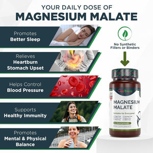 Best Immune, Magnesium Malate 500Mg – High Strength Supplement for Absorption and Energy Support – 100 Vegan Capsules