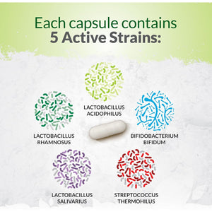 Bio-Cultures Complex - 180 High Strength Capsules - Lactobacillus Acidophilus, Rhamnosus & Bifidobacterium - 6 Month Supply - Gentle Vegetarian Multi-Strain Formula for Men & Women - Nu U Nutrition