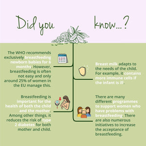 Vegavero Lactation Supplement | Breastfeeding Vitamins | Organic Fenugreek, Iron, Folic Acid and Vitamin D | NO Additives | 90 Capsules | Vegan