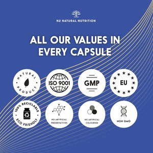 Natural L CARNITINE 2000Mg 150 Capsules 75 Days (Only 2 Capsules per Day) High Concentration Improves Sports Performance. Weight Loss, Energy Resistance. CE Manufactured. N2 Natural Nutrition