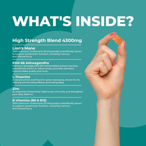 Lion'S Mane Mushroom & Ashwagandha KSM-66 Gummies - 4300Mg High Strength Supplement - 60 Sugar-Free & Vegan Gummies - with Zinc, B6 & B12 - for Calming, Mental Performance, and Nervous System Support