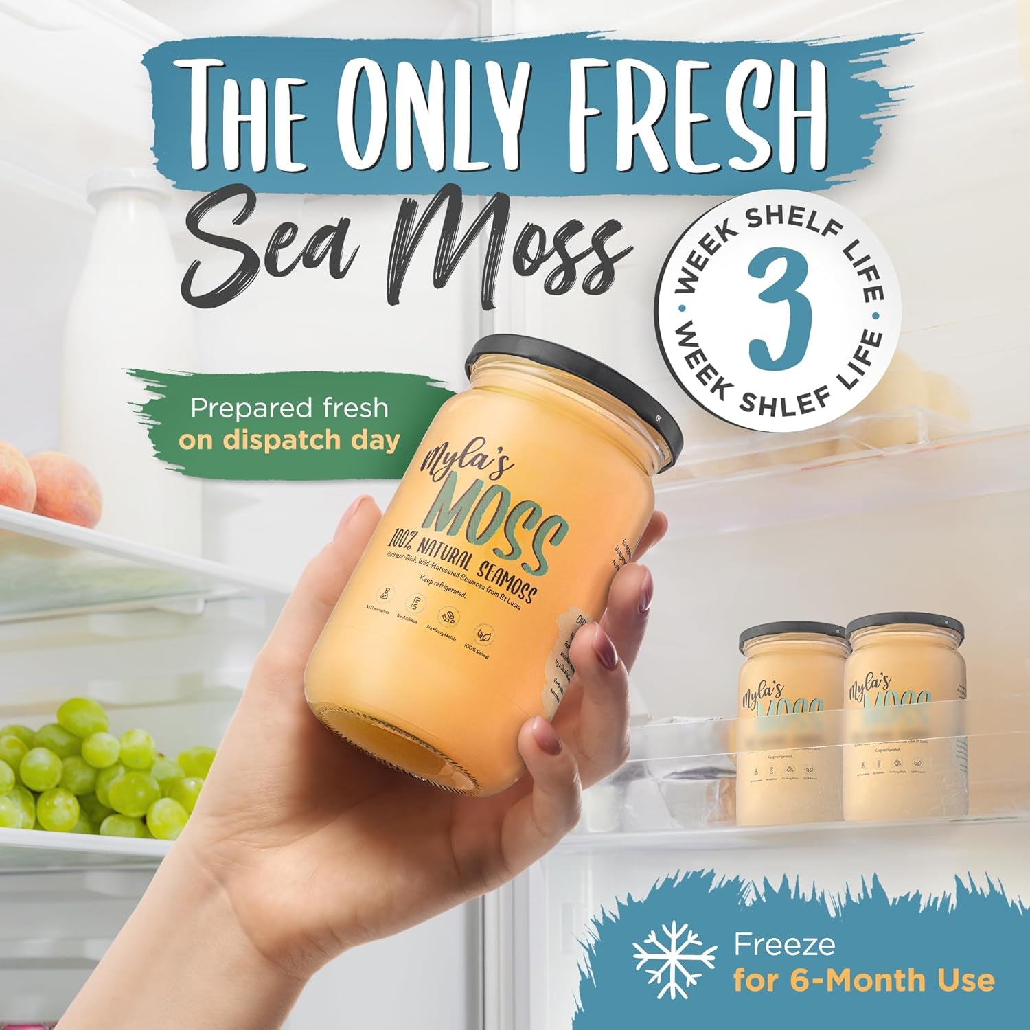 Myla’S Moss Organic Sea Moss Gel 340G – Wildcrafted & Made in the UK – Pure Irish Moss for Immunity, Gut Health & Skin – Vegan, Non-Gmo, No Fillers