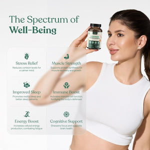 Organic Ashwagandha KSM-66® Extract - 30 Capsules 550Mg 1 Month Supply - High Strength Supplement for Performance Energy Boost Muscle Recovery Immune Support - Made in England by Reself Organics