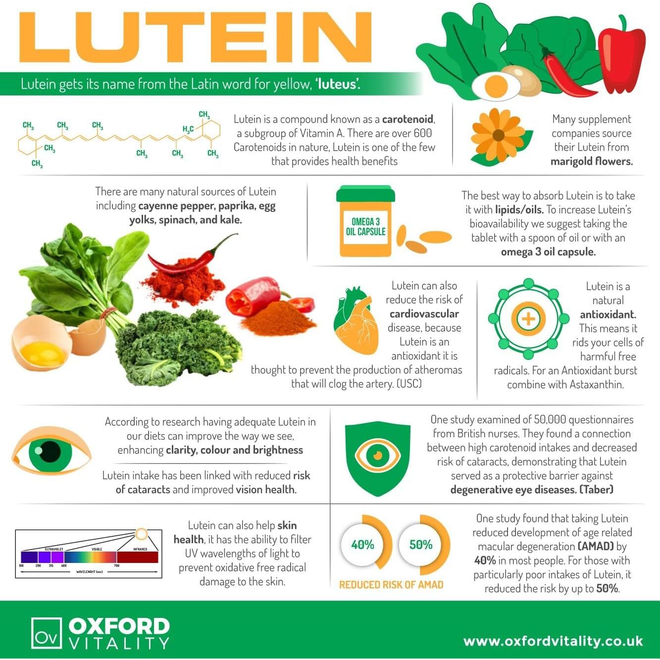 Vision Care Tablets | Bilberry, Lutein & Grape Seed Tablets | Eye Health & Antioxidant | Oxford Vitality