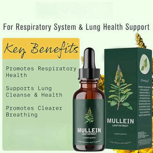 Mullein Leaf Liquid Drops,Mullein Leaf Extract for Lungs,Mullein Drops,Lung Cleanse for Lung Health,Lung Support for Fast Absorption