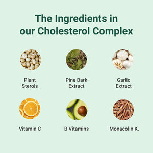 Hey Nutrition Cholesterol Complex Supplement - with Plant Sterols & Pine Bark Extract - Advanced Cholesterol Support - 90 Tablets/30 Servings - Non-Gmo, Vegan