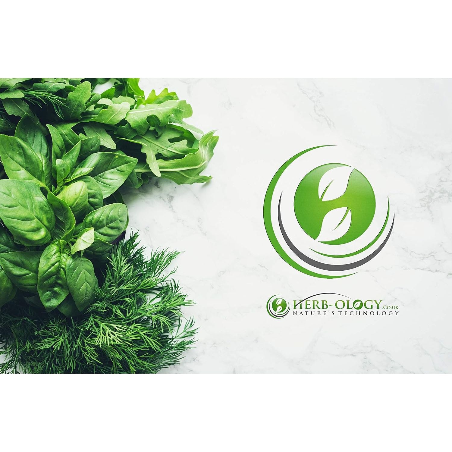 HB Lactobacillus Gasseri | 60 Lactobacillus Probiotic Capsules - High Strength 3 Billion CFU L-Gasseri Probiotic per Serving | Non-Gmo, Gluten & Allergen Free | Made in the UK