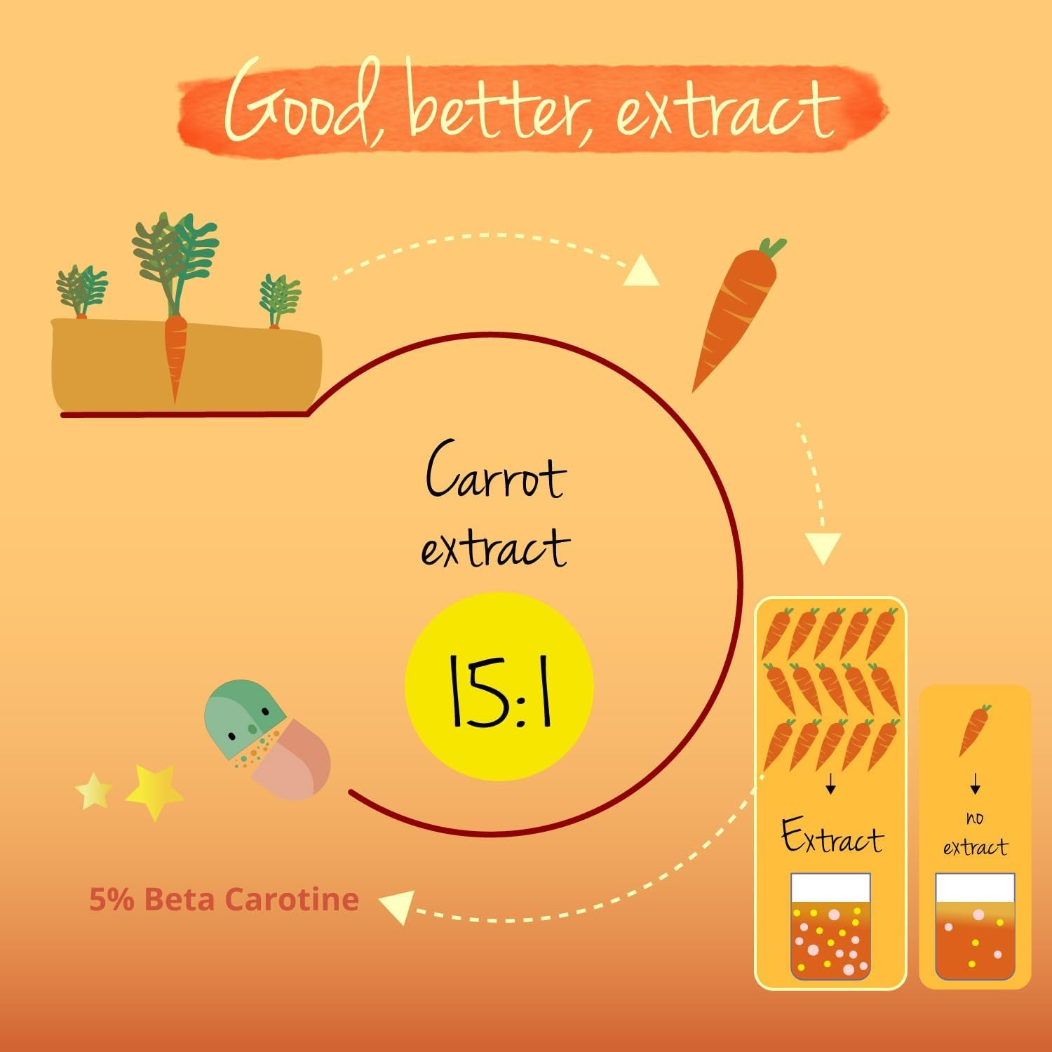 Vegavero Beta Carotene | 180 Capsules | Tan Accelerator | 100% Natural Source of Vitamin a | NO Additives, Lab-Tested | Vegan