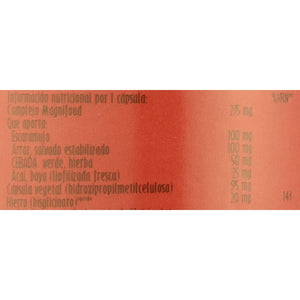 Terranova Easy Iron 20Mg Complex Non Constipating 100 Veg Capsules