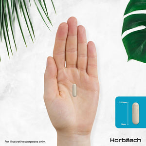 Fibre Supplement for Men | Cleanliness | Psyllium Husk Complex with Cinnamon, Flaxseed and Fenugreek Seed | 120 Vegan Capsules | by Horbaach