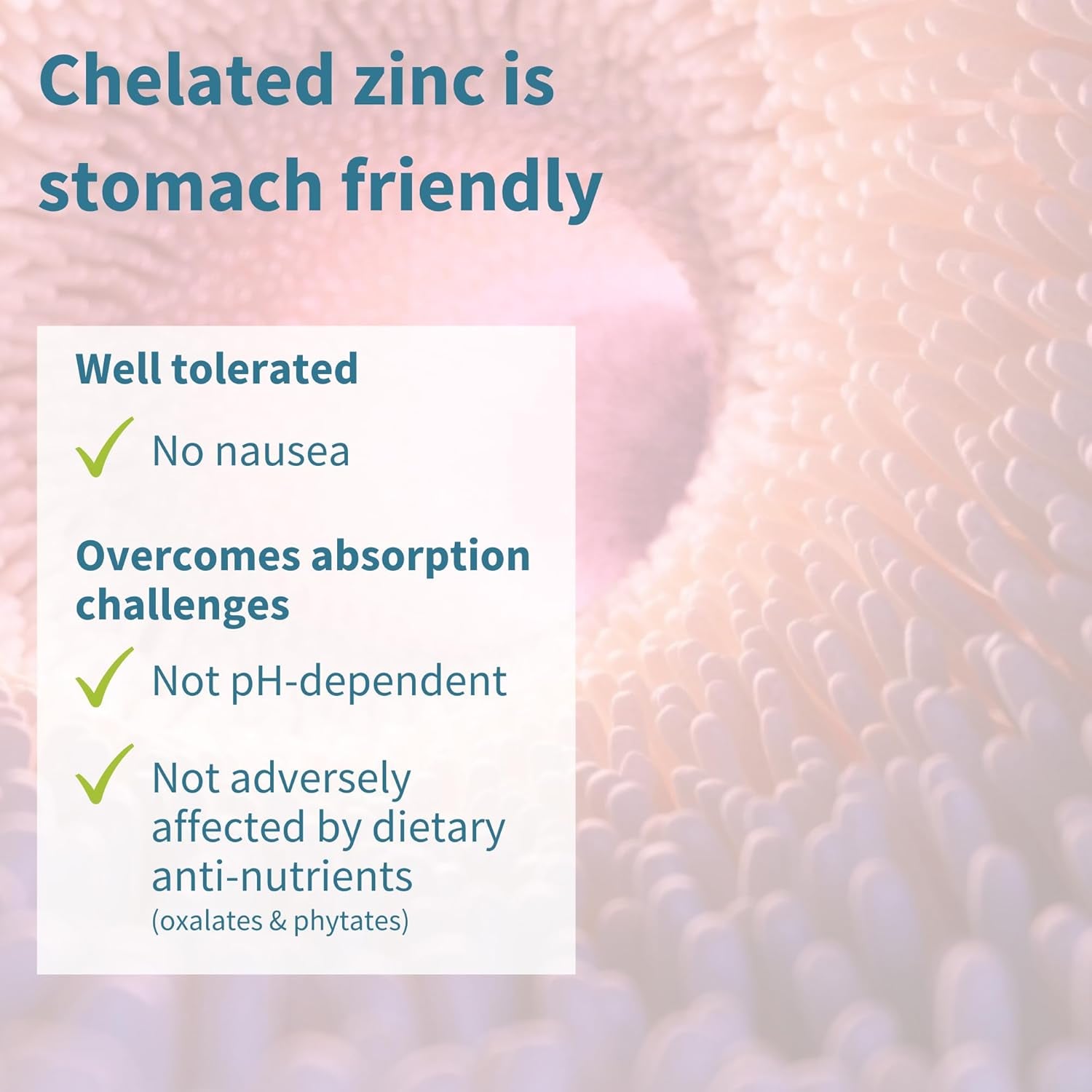 Igennus Clean Chelated Zinc Picolinate & Bisglycinate Complex 25Mg with Copper, 6 Month Supply 180 Tablets, High Absorption & Lab Verified, Non -GMO, Supplement for Men & Women, Immune Support & Skin