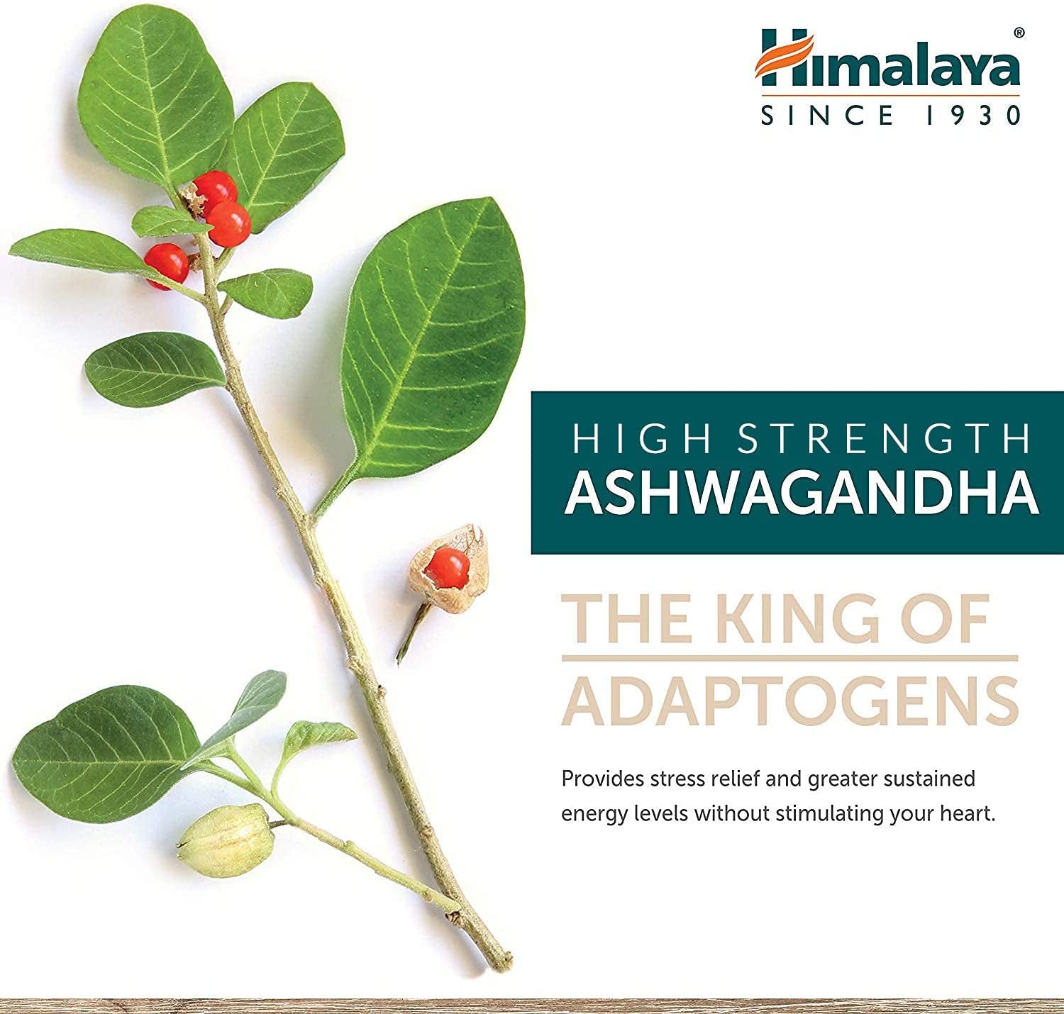 Himalaya Herbals Pure Herbs Ashvagandha Herbal Food Supplement | Helps Maintain a Healthy Balance and Healthy Sleep | Supports in Stress, for Daily Dose of Energy - 60 Vegetarian Capsules