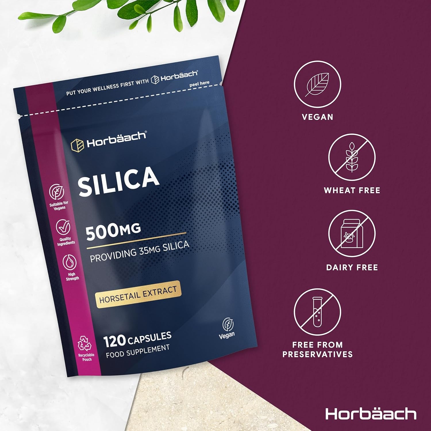 Silica Supplement 500Mg | High Strength Silica from Horsetail Extract | 120 Powder Capsules | Vegan | 4 Month Supply | by Horbaach