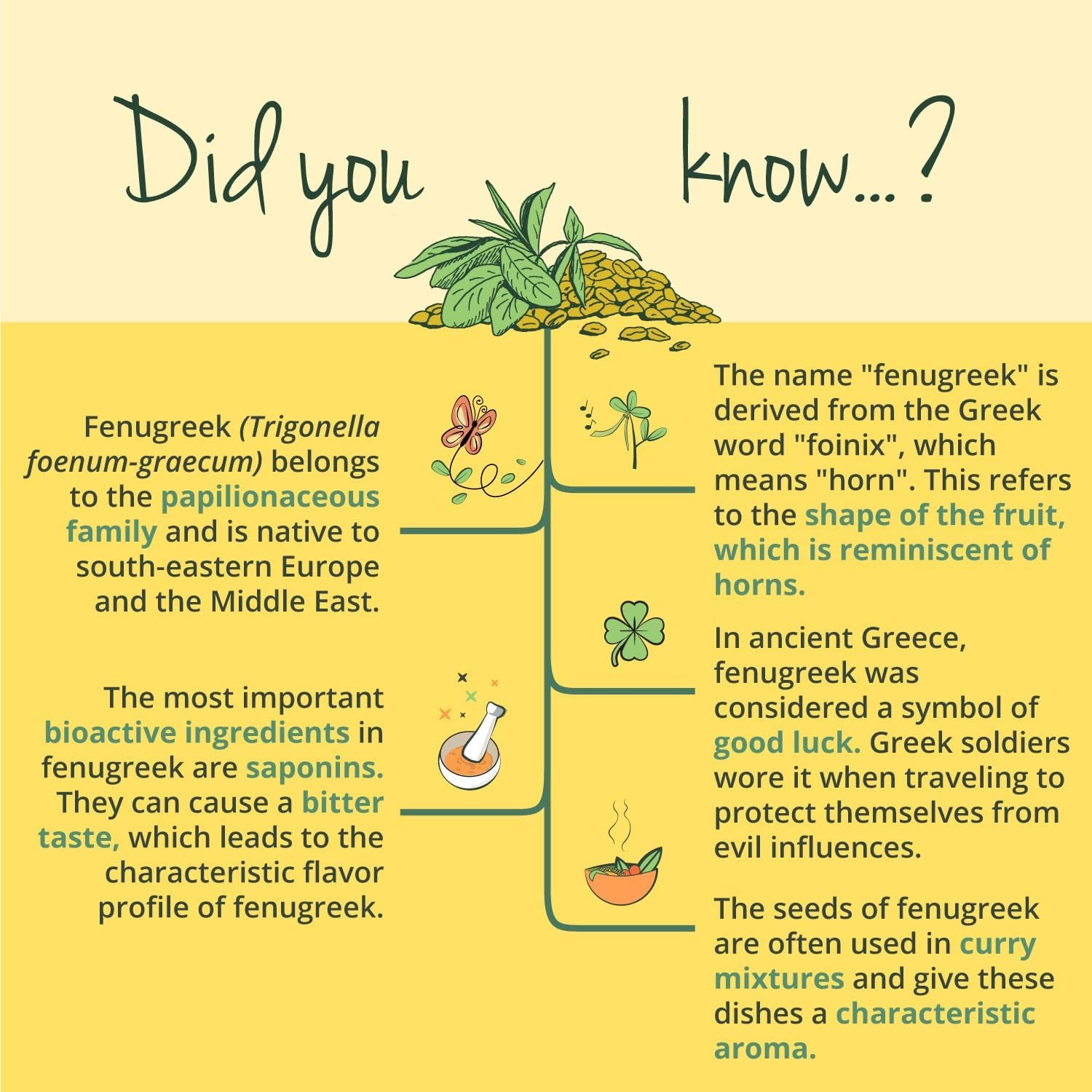 Vegavero Organic Fenugreek High Strength 2900 Mg | Lactation Supplement | 4:1 Extract and Powder | 120 Capsules | Vegan