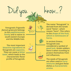 Vegavero Organic Fenugreek High Strength 2900 Mg | Lactation Supplement | 4:1 Extract and Powder | 120 Capsules | Vegan