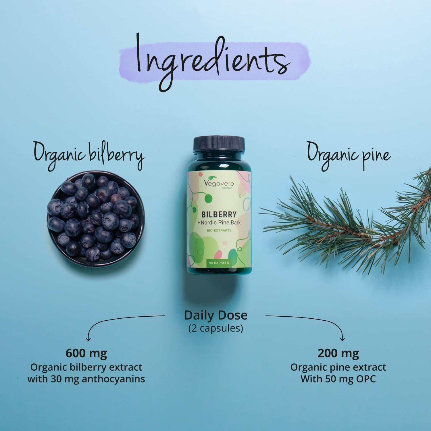 Vegavero Organic Bilberry 12,000 Mg & Pine Bark | from High Strength Extracts | Premium Quality from Finland | NO Additives | 90 Capsules | Vegan