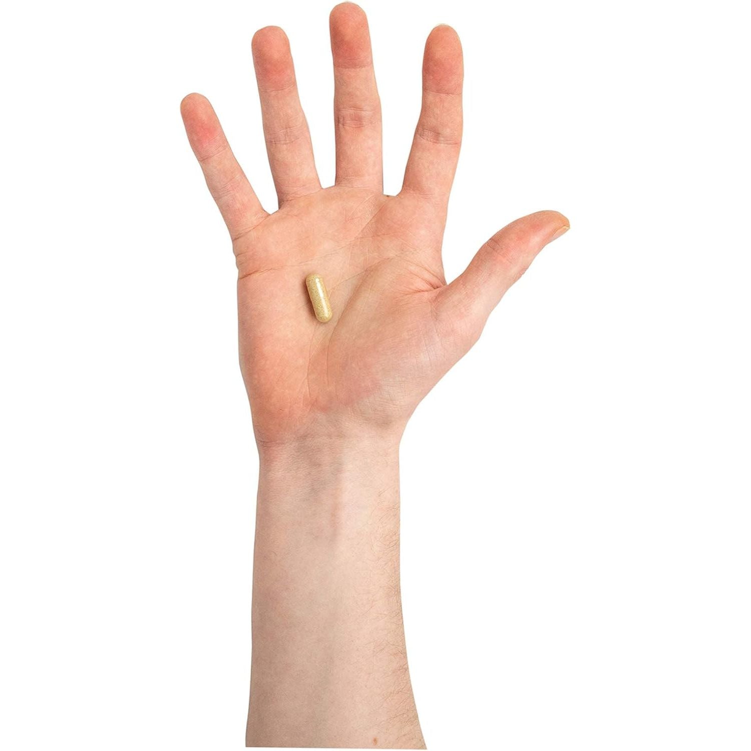 Troo Health Care Saccharomyces Boulardii Supplement - 90 Capsules – 5 Billion Cfu with Olive Leaf, Biotin and Vitamin D - Highly Stable Friendly Yeast to Support Gut Bacteria Balance