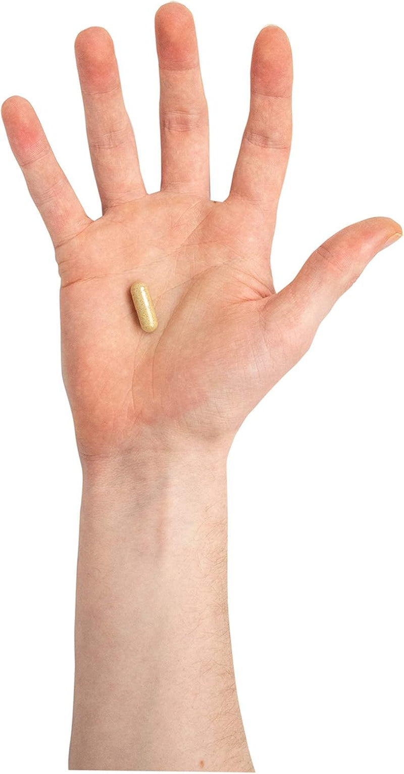 Troo Health Care Saccharomyces Boulardii Supplement - 90 Capsules – 5 Billion Cfu with Olive Leaf, Biotin and Vitamin D - Highly Stable Friendly Yeast to Support Gut Bacteria Balance