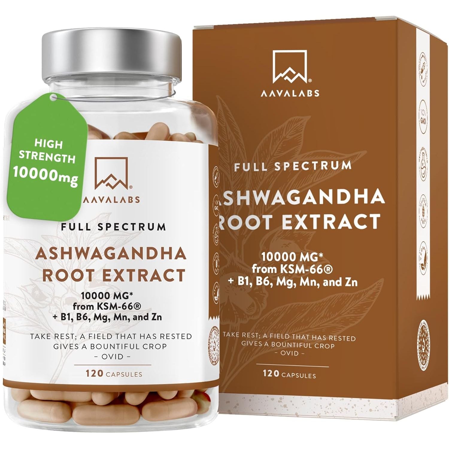 Ashwagandha KSM 66 -1000Mg (Highly Concentrated 10:1 Extract Ratio Equivalent to 10,000Mg per Serving)Of Which 5% Withanolides-With Vitamin B6, B1, Zinc, Magnesium & Manganese-120 Ashwagandha Capsules