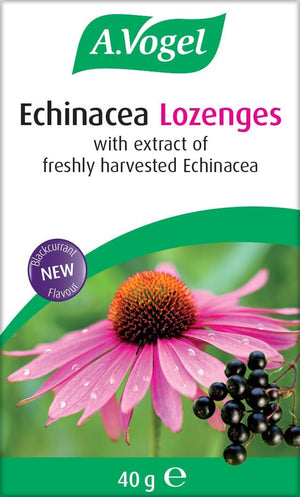 A.Vogel Echinacea Lozenges | Extract of Freshly Harvested Echinacea | Blend of Other Herbs | Suitable for Vegetarians | New Blackcurrant Flavour | 40G
