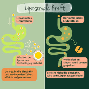 Vegavero L-Glutathione Complex | with Glycin, Pureway-C® Vitamin C Liposomal and MSM | NO Additives | Vegan | 90 Capsules