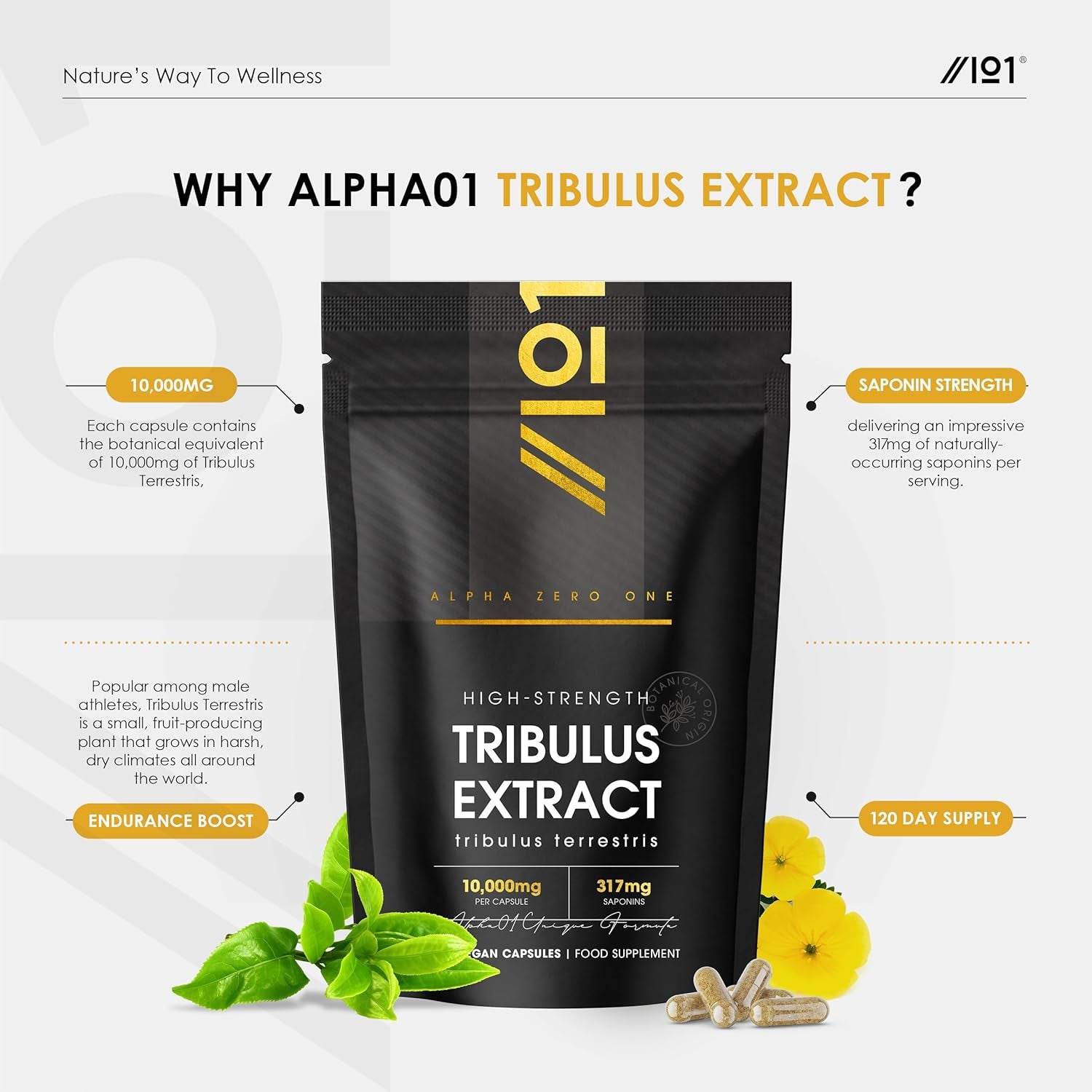 Tribulus Terrestris Extract 15,000Mg – Super Strength 95% Saponins (316Mg per Capsule) – 120 Vegan Capsules (4 Months Supply) Resealable and Recyclable Pouch – by Alpha01