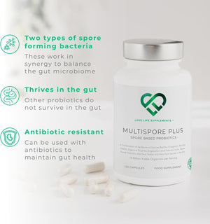 Multispore® plus Probiotics, 4 Month Supply - 120 Capsules, Bacillus Coagulans & Bacillus Subtilis Spore Based Probiotic, Bloating Relief/Gut Health, with Digestive Enzymes & Prebiotic Inulin, UK Made