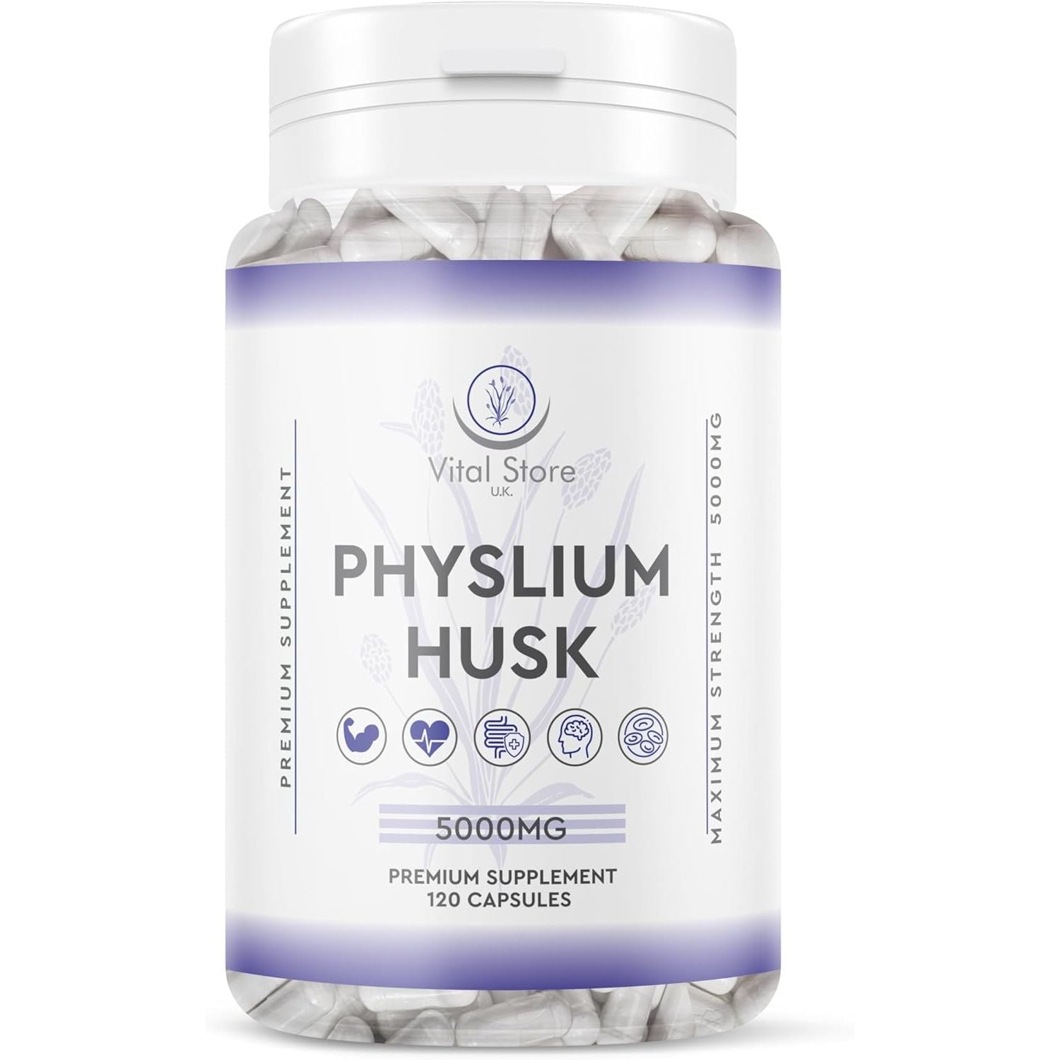 Physlium Husk 5000Mg - 4 Month Supply 120 Capsules - Vegan Physlium Husk