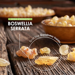 Boswellia Serrata Extract 3000Mg – 65% Boswellic Acid (150Mg per Capsule) - 90 Capsules (2 Months Supply) – Resealable and Recyclable Pouch by Alpha01