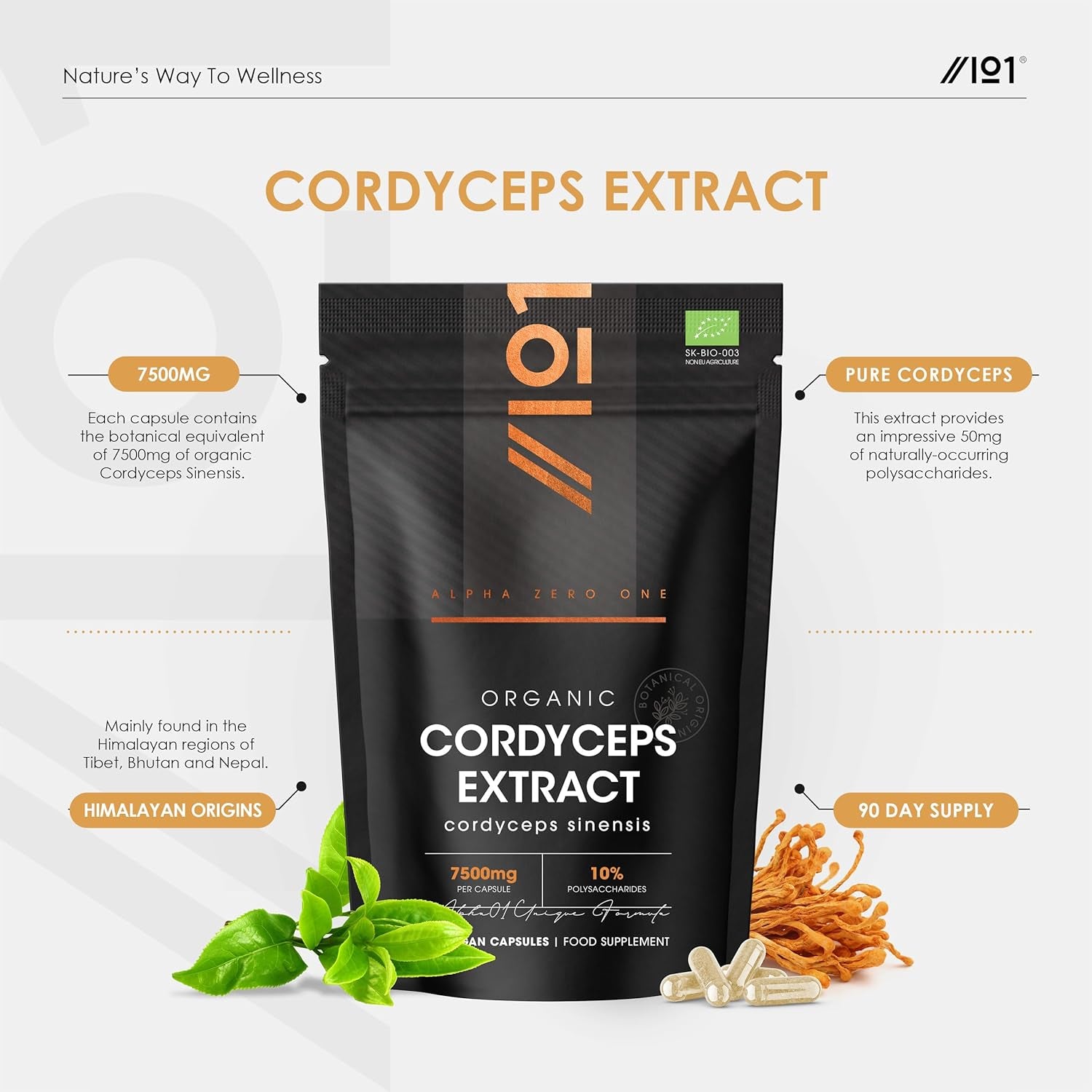 Organic Cordyceps Mushroom Extract 7500Mg – High Strength Polysaccharides Supplement – 90 Vegan Capsules (3 Months Supply) – Resealable and Recyclable Pouch – by Alpha01