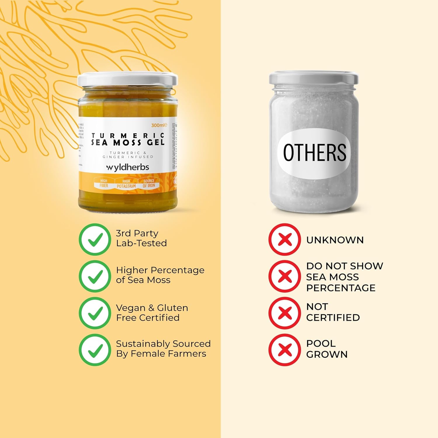 Wyld Herbs All-Natural Turmeric & Ginger Infused Sea Moss Gel | 100% Wildcrafted Sea Moss | Superfood Rich in Minerals, Proteins & Vitamins - Vegan & Gluten Free 300ML