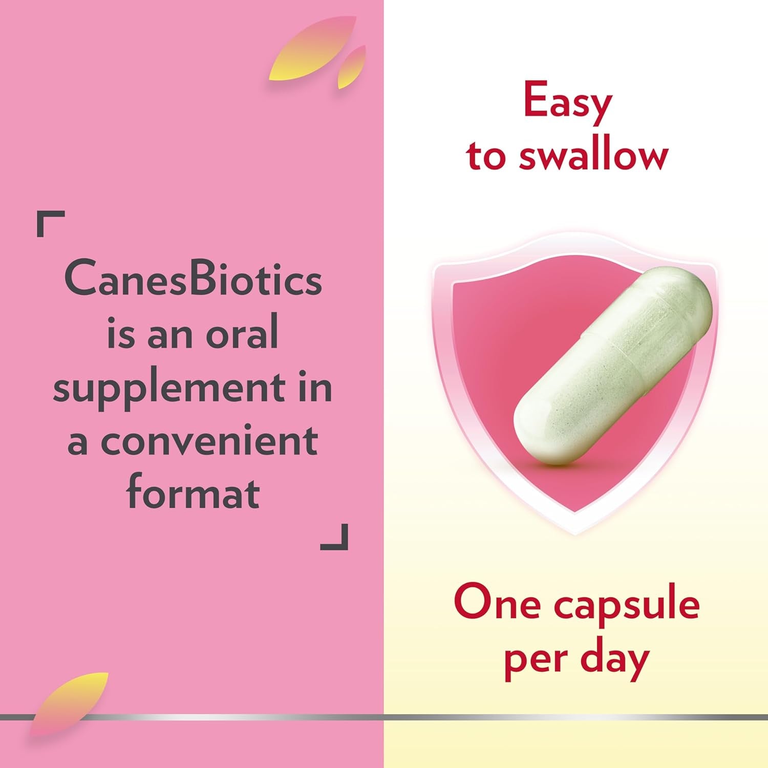 Canesten Canesbiotics, Oral Capsules with Live Friendly Bacteria Naturally Present in the Vaginal Flora, 4 Billion Live Cultures, Vitamin B2, Food Supplement, 30 Capsules