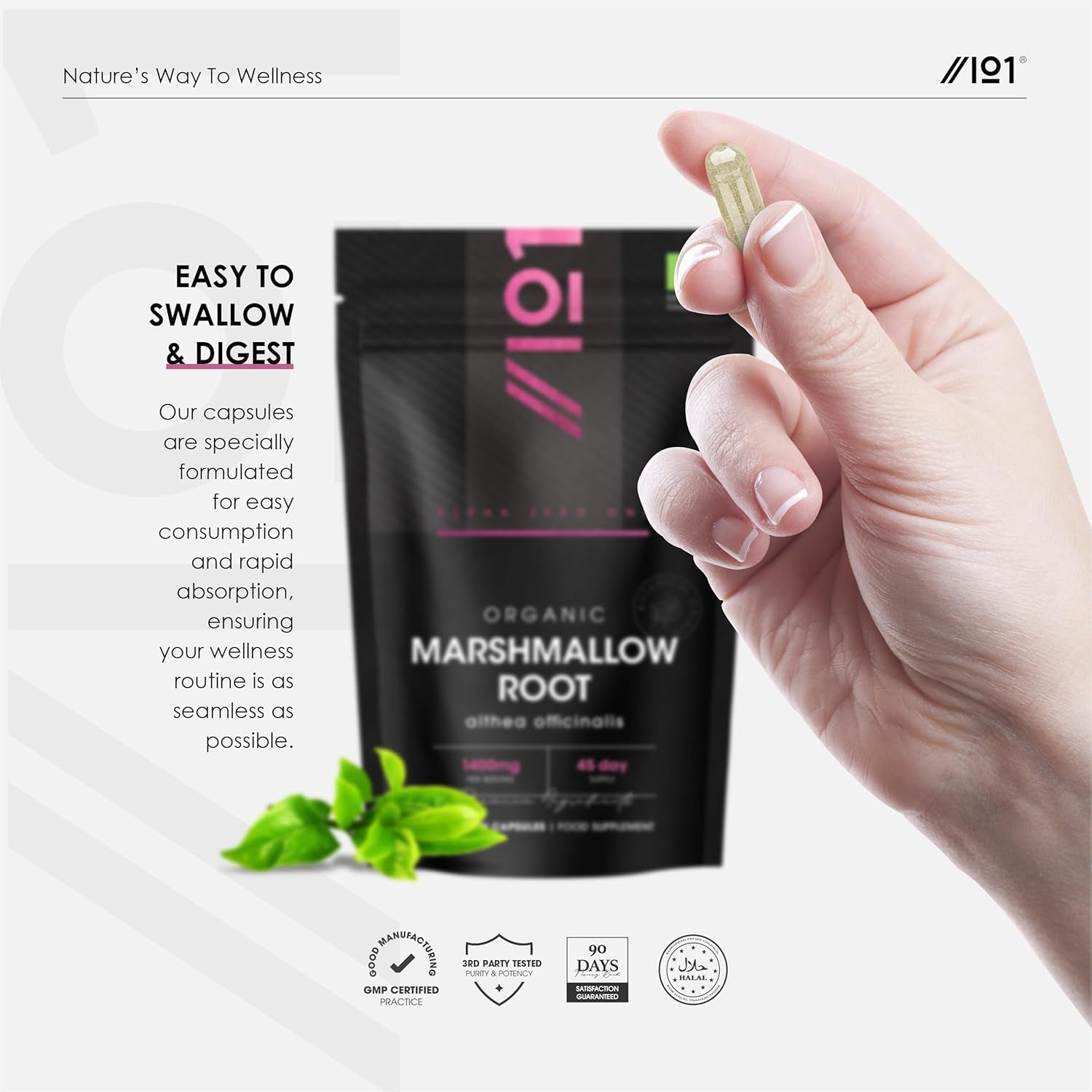 Organic Marshmallow Root 1400Mg - 90 Vegan Capsules - Potent Althea Officinalis Supplement - 45 Day Supply - Resealable and Recyclable Pouch - by Alpha01
