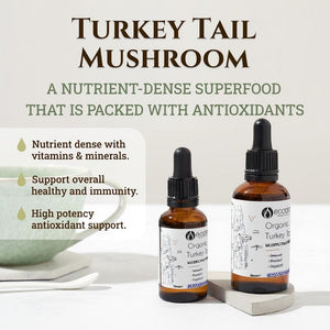 Ecodrop Organic Turkey Tail Mushroom I 50Ml I Double Extract Liquid Tincture Turkey Tail Supplement I Heavy Metal-Free, Nordic Sourced, & Fully Traceable I Manufactured in Finland