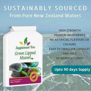 Green Lipped Mussel 500Mg 90 Capsules | New Zealand Sourced GLM Powder Supplement | Pure Non-Gmo, Additives Free, without Any Fillers or Binders | UK Manufactured