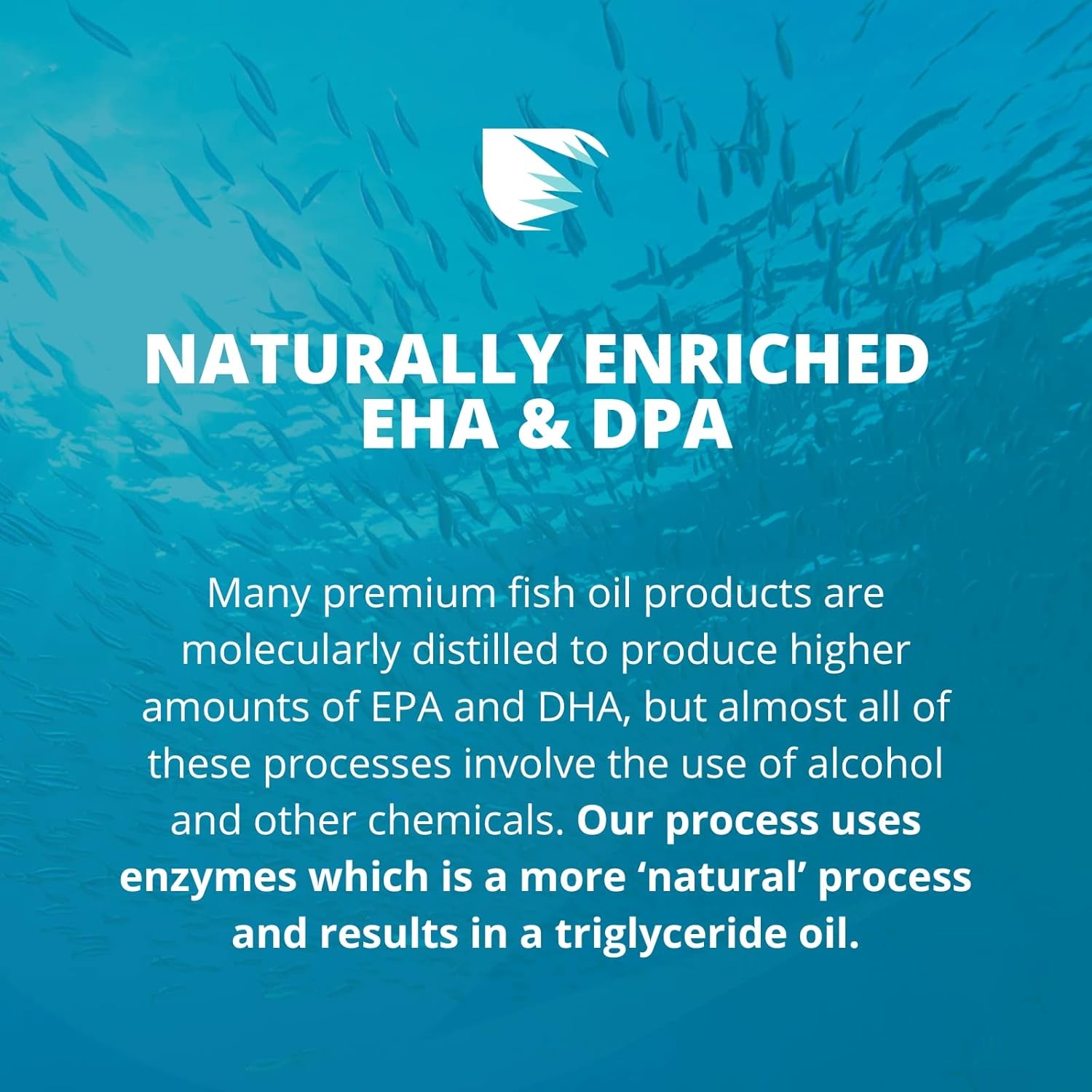 Omega 3 plus Finest Fish Oil Capsules – 600Mg, 315 EPA & 210 DHA - Micro Distilled Omega 3 Fish Oil - Orange Flavour (No Fish Odour or Taste) - 120 Capsules