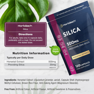 Silica Supplement 500Mg | High Strength Silica from Horsetail Extract | 120 Powder Capsules | Vegan | 4 Month Supply | by Horbaach