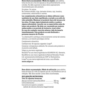 Solgar Brain Works with Full Spectrum Curcumin & Bacomind - Mind and Memory Vitamines - Choline Supplement - Supports Focus & Mental Performance - Gluten Free - Vegan Capsules - Pack of 60