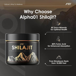 Himalayan Shilajit Resin 30G – Gold Grade 100% Pure Gilgit-Baltistan Source – Rich in 80% Fulvic & Humic Acid, Minerals – by Alpha01