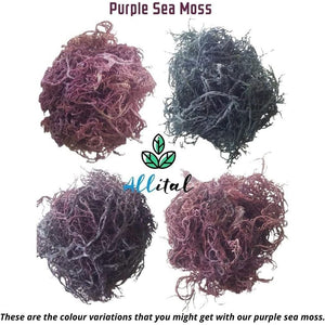 Purple Sea Moss - Raw Wildcrafted St Lucian, 100G Purple Irish Seamoss, Non GMO, Full of Minerals, Great for Smoothies, Soups, Salads…