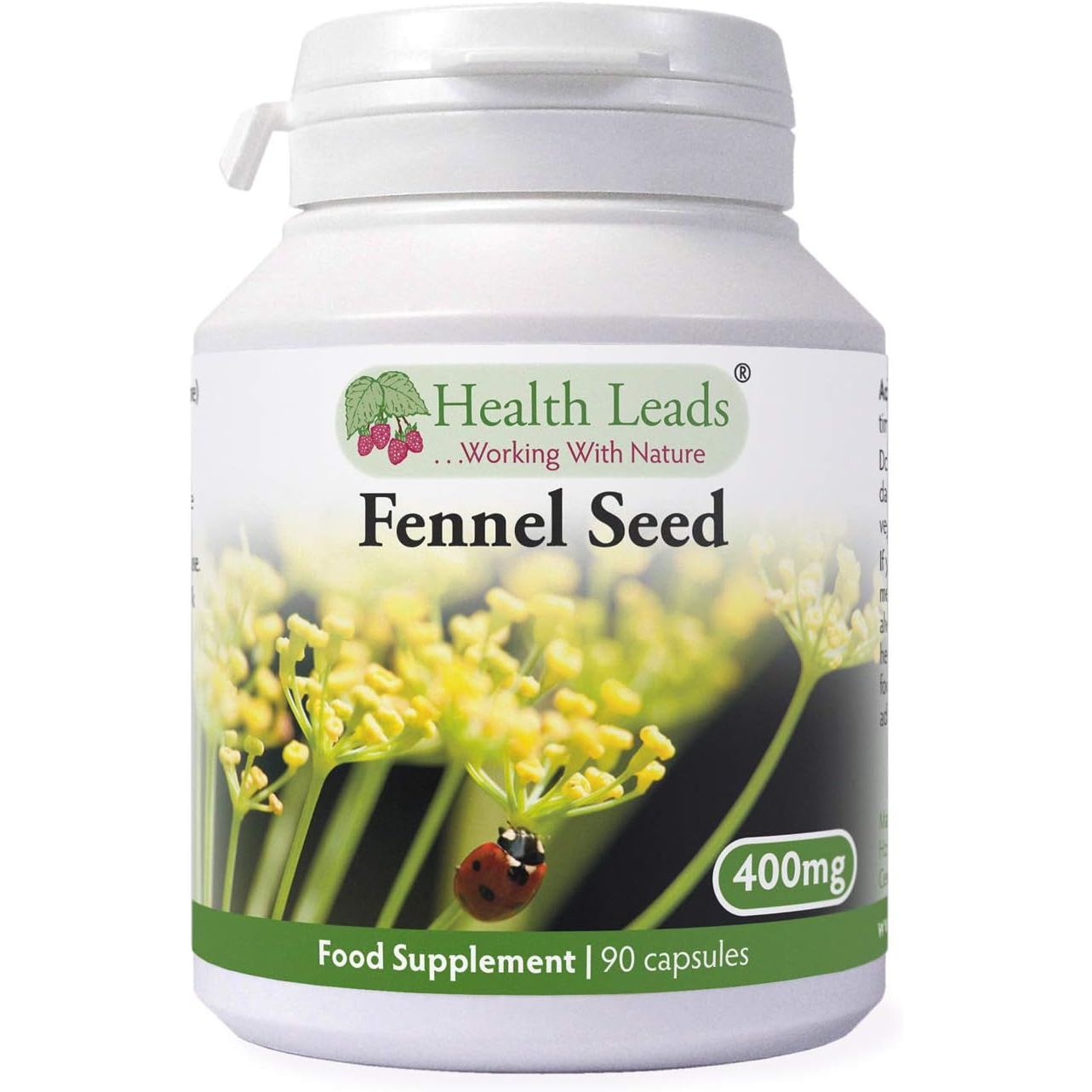 Fennel Seed 400Mg X 90 Capsules (100% Additive Free Supplements)