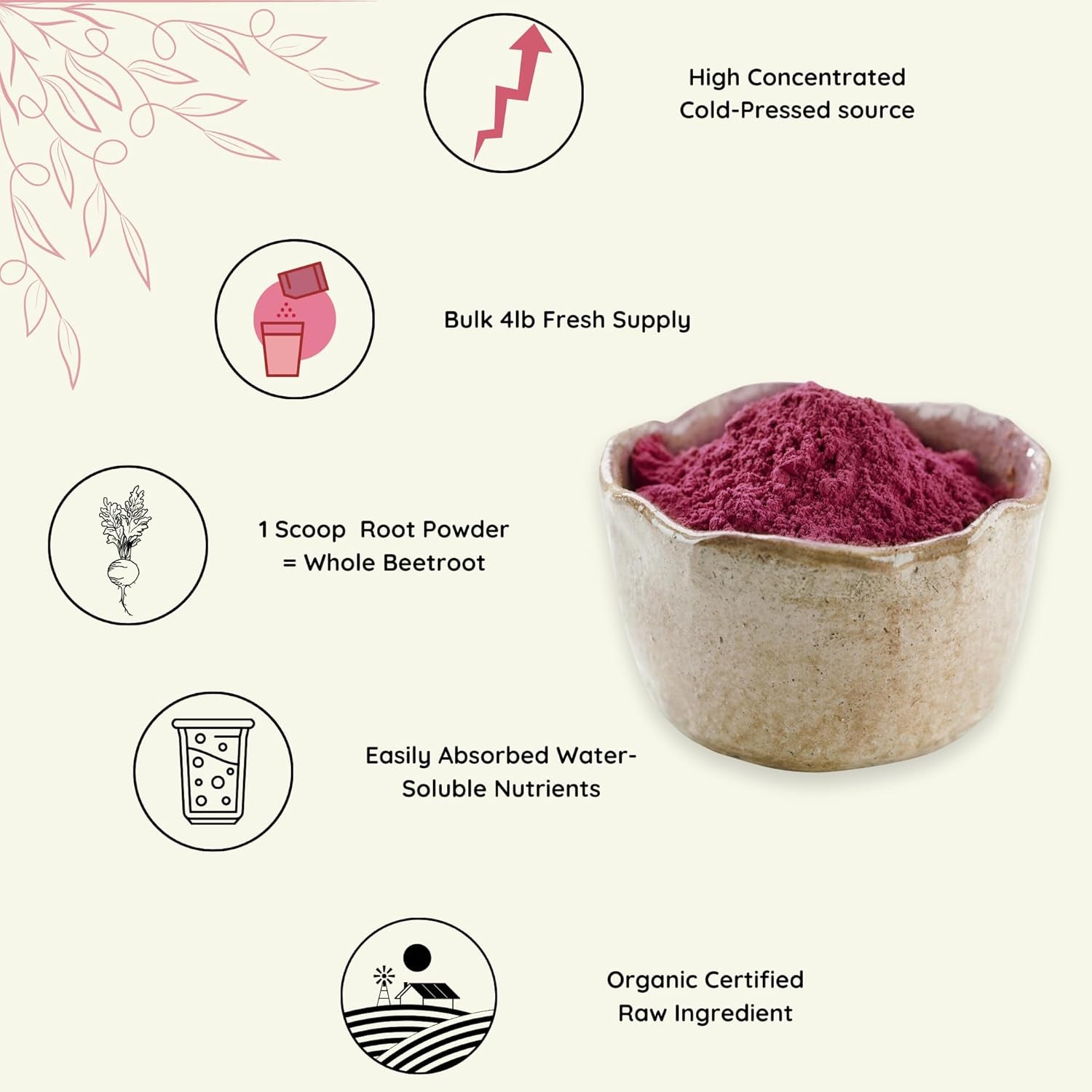 Herbs Botanica Beetroot Extract Powder 5.3 Oz, 150 GMS Nitric Oxide Booster, Boost Stamina and Increases Energy, Beet Root Powder Natural